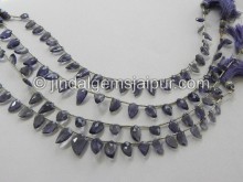 Iolite Faceted Uneven Leaf Shape Beads
